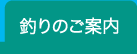 釣りのご案内